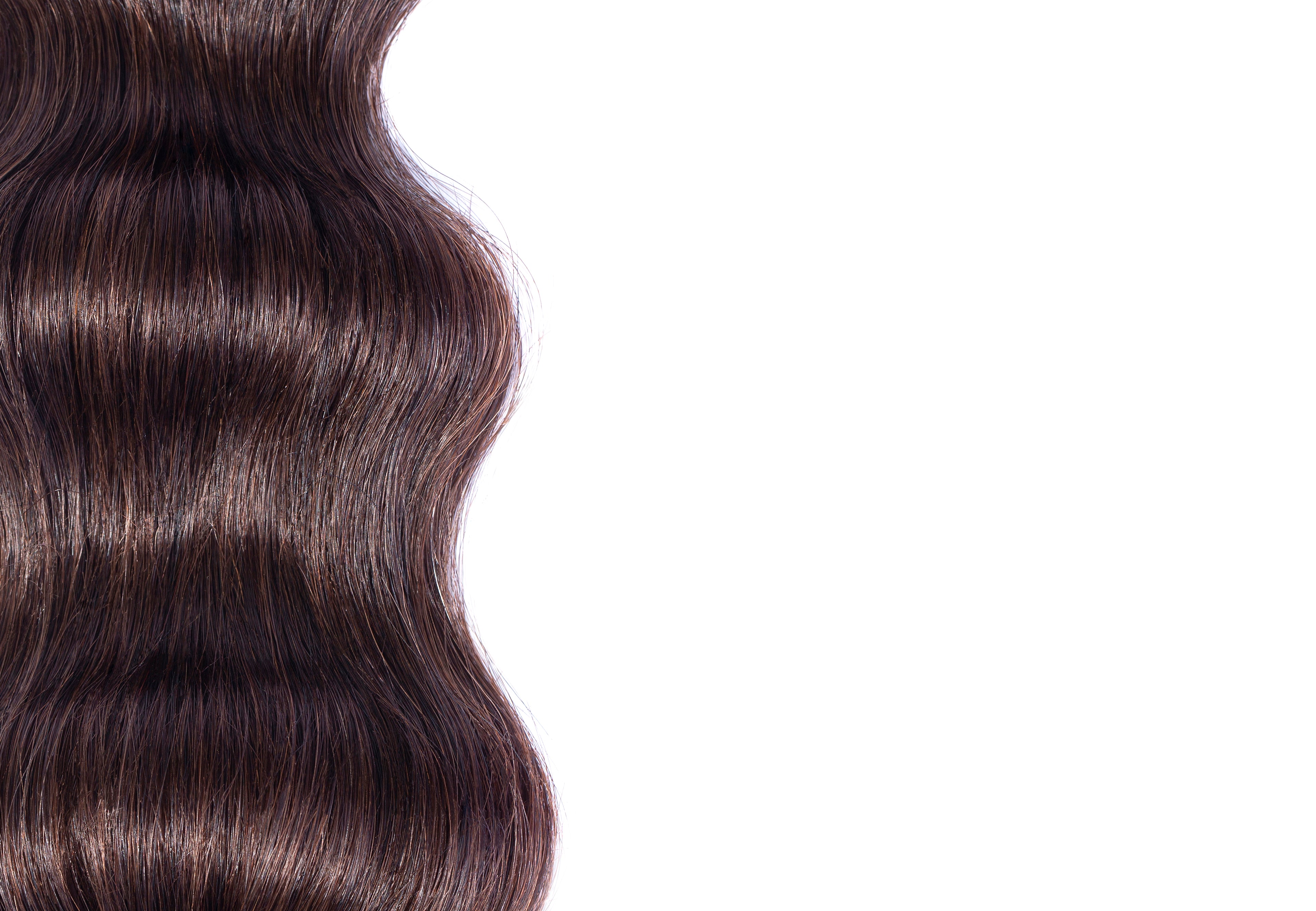 Hair Extensions Seamless Clip in Extensions- 100% Premium Human Hair MOCHA BROWN / 16" - The Extension Bar