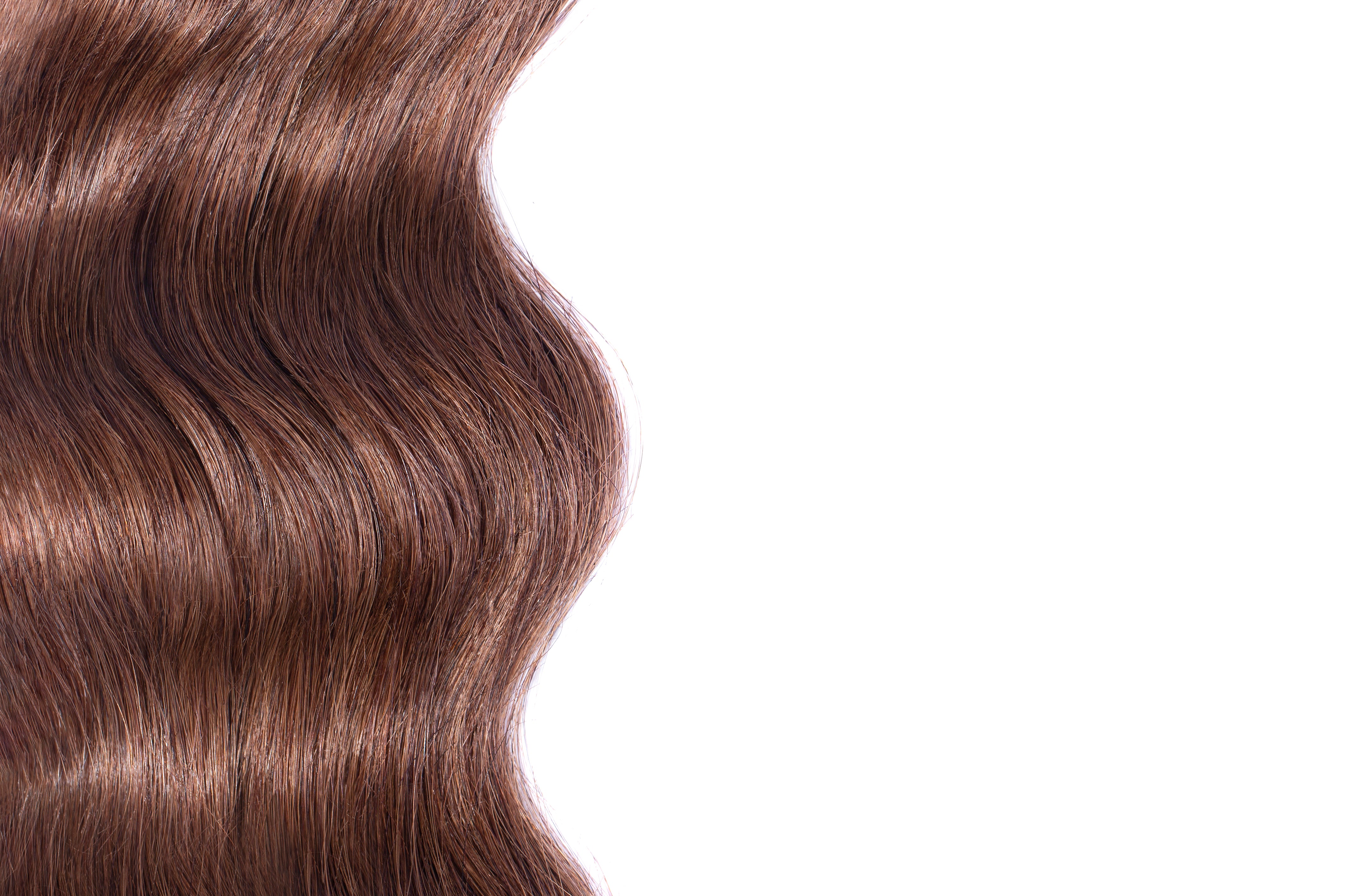 Premium Human Hair Extensions