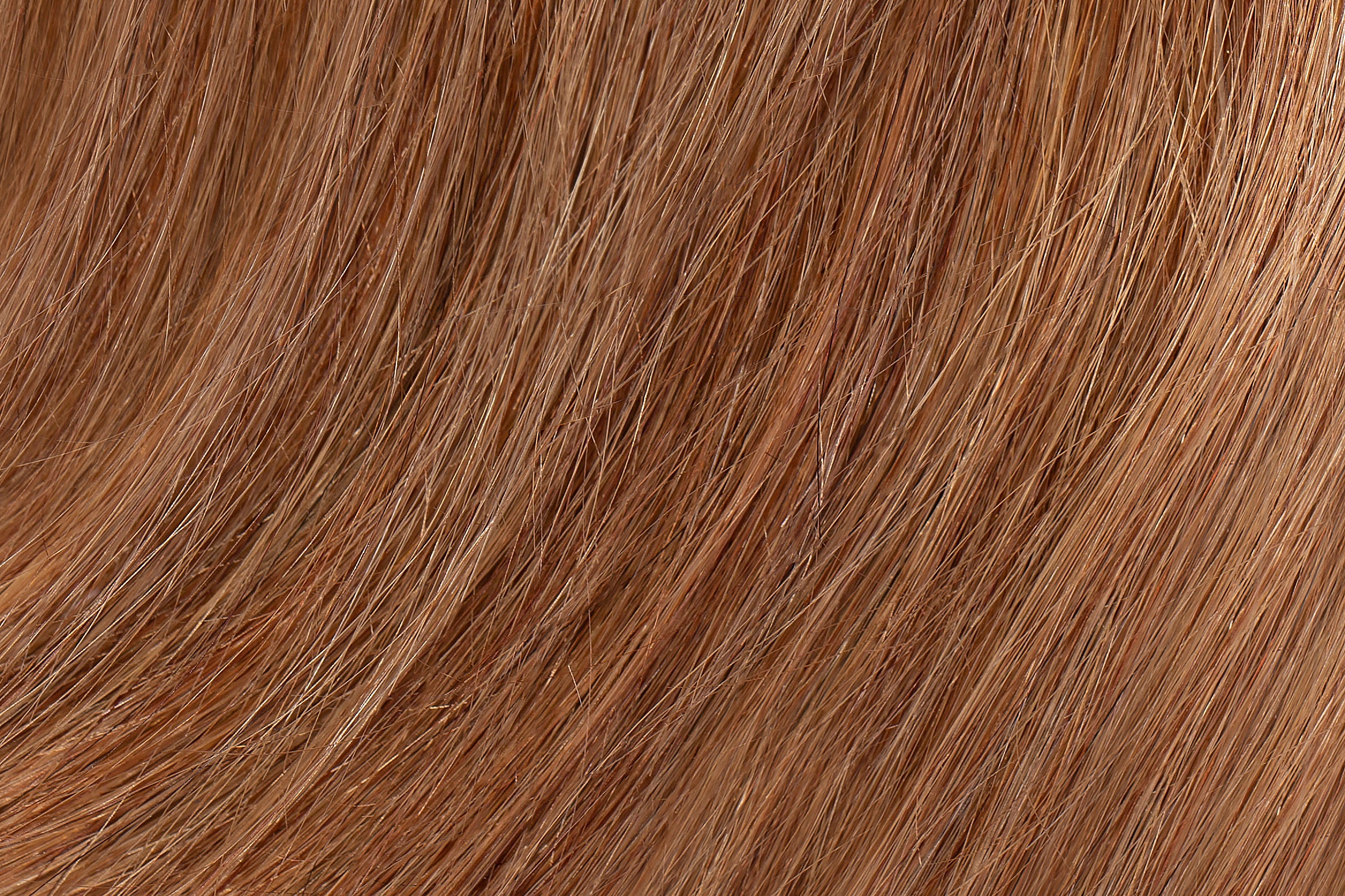 Health & Beauty Faux Clip In Bangs - 100% Human Hair Medium Ash Brown #8 - The Extension Bar