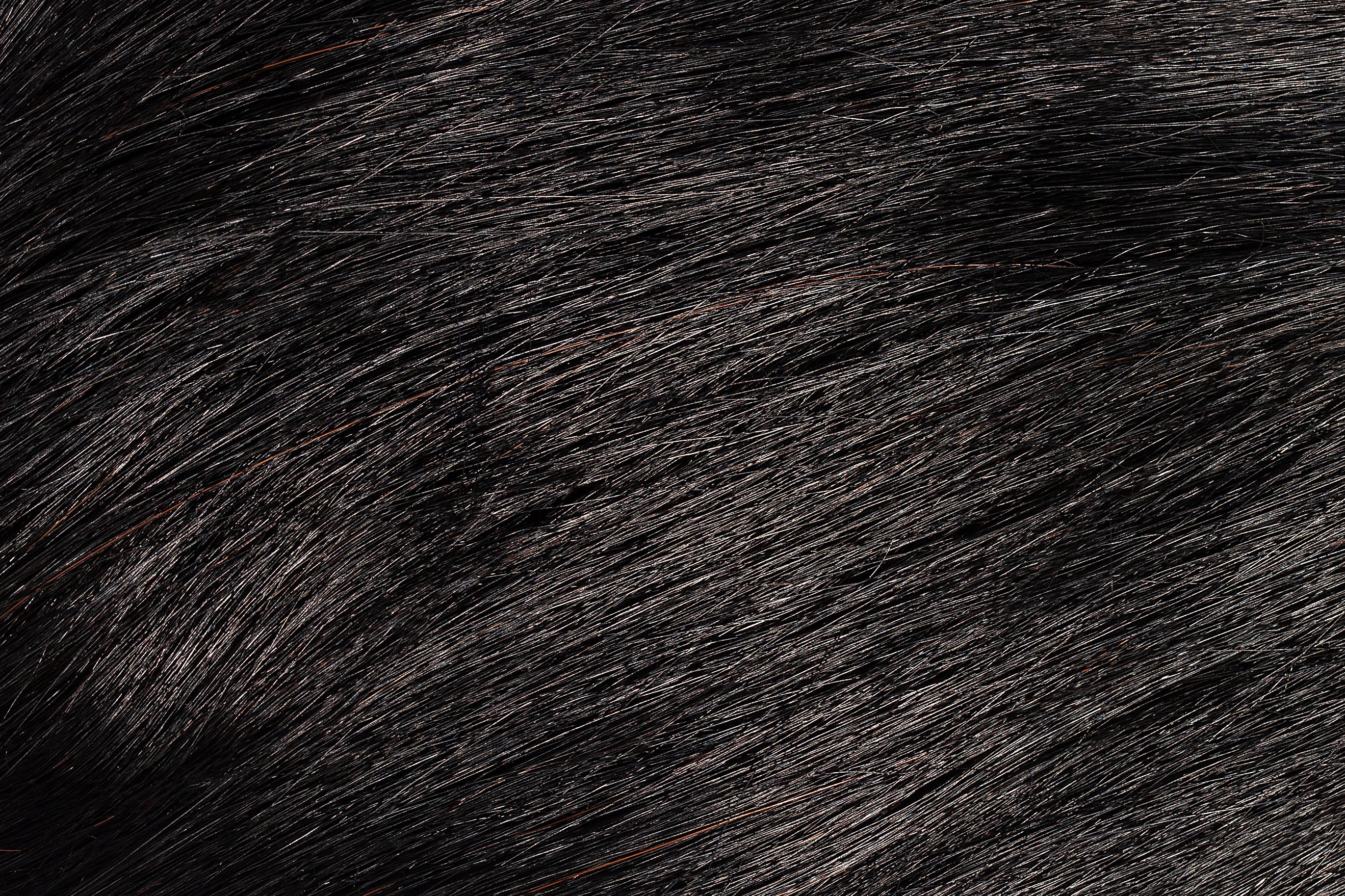 Health & Beauty Faux Clip In Bangs - 100% Human Hair Jet Black #1 - The Extension Bar